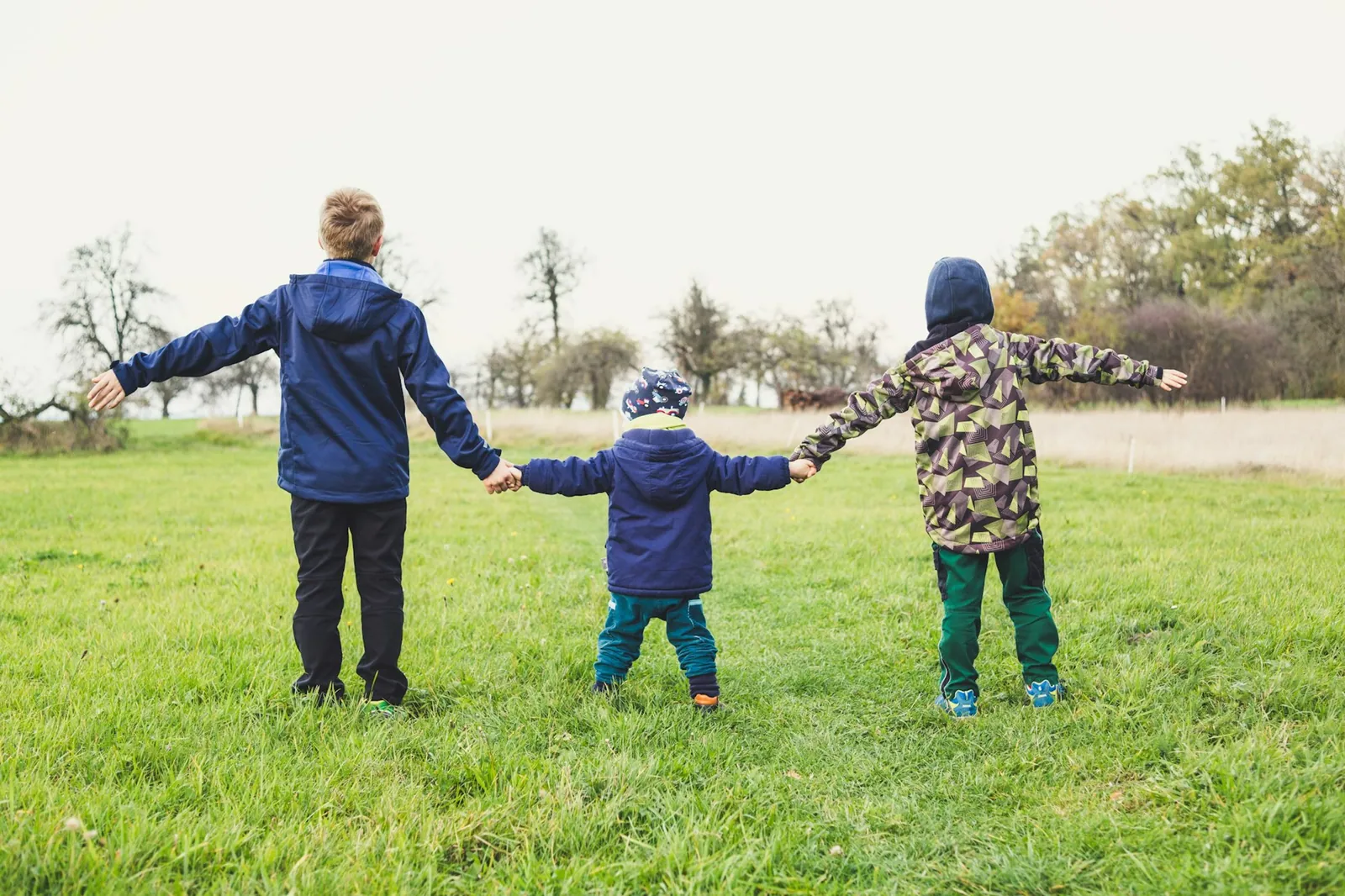 Drei Kinder, von hinten gesehen, halten sich an den Händen auf einer grünen Wiese.